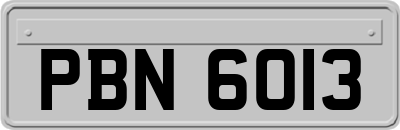 PBN6013