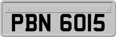 PBN6015