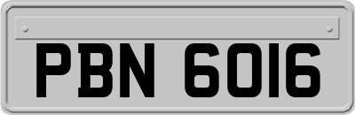 PBN6016