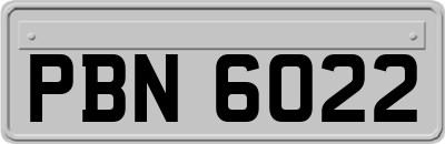 PBN6022