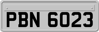 PBN6023