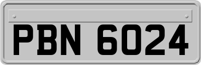 PBN6024