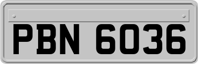 PBN6036