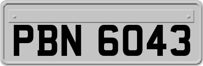 PBN6043