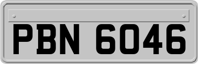 PBN6046