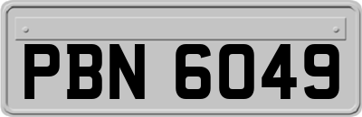 PBN6049