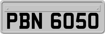 PBN6050