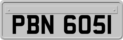 PBN6051