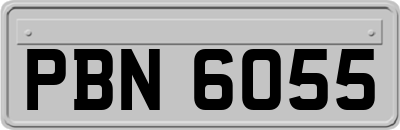 PBN6055