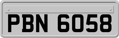 PBN6058