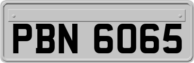 PBN6065