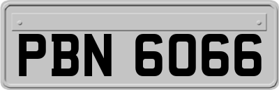 PBN6066