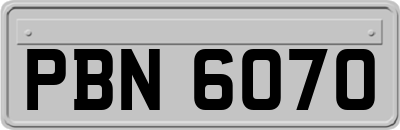 PBN6070