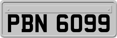 PBN6099