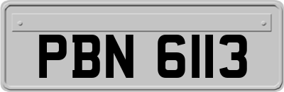 PBN6113