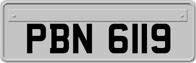 PBN6119