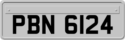 PBN6124