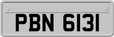 PBN6131