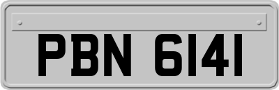 PBN6141