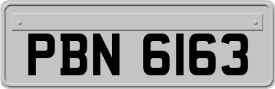 PBN6163