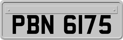 PBN6175