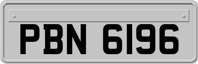 PBN6196