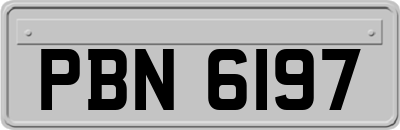 PBN6197