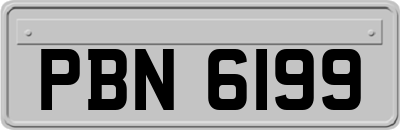 PBN6199