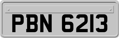 PBN6213