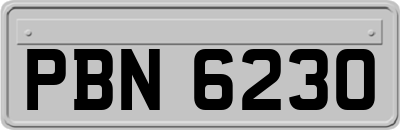 PBN6230