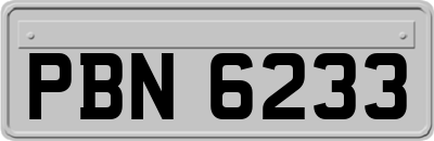 PBN6233