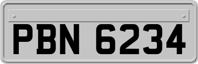 PBN6234