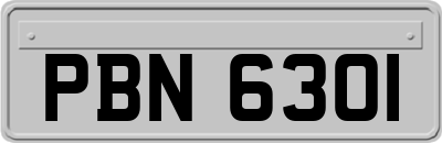 PBN6301