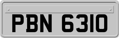 PBN6310