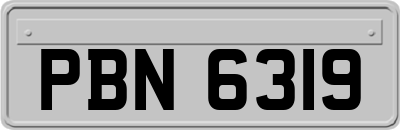 PBN6319