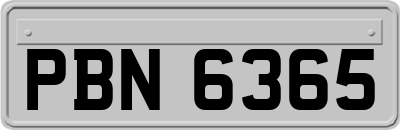 PBN6365