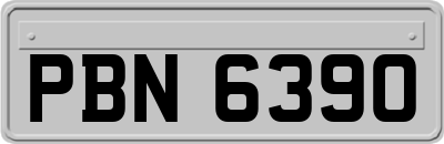 PBN6390