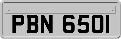 PBN6501