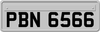 PBN6566