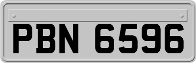 PBN6596