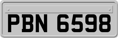 PBN6598