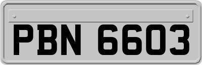 PBN6603