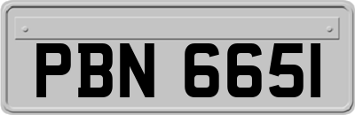 PBN6651