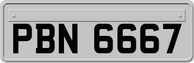 PBN6667