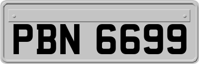 PBN6699