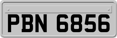 PBN6856