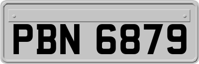 PBN6879