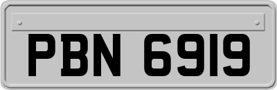 PBN6919