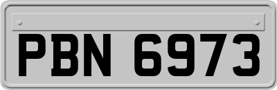 PBN6973