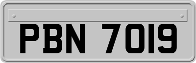 PBN7019